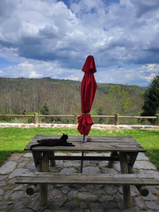 Se Reconnecter A La Nature Au Gite 3 Etoiles De Montager A Saint Andre De Chalencon Kültér fotó