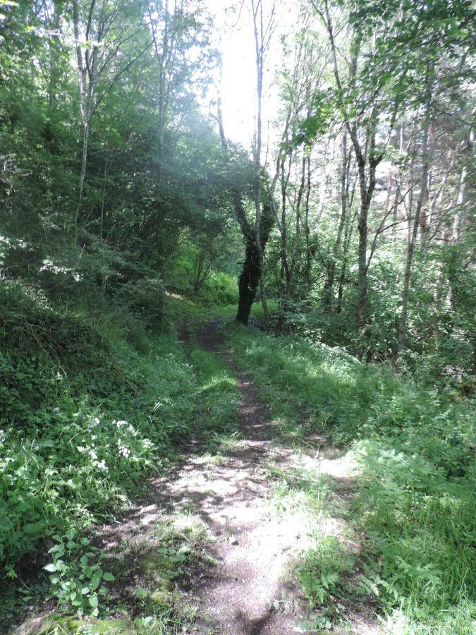 Se Reconnecter A La Nature Au Gite 3 Etoiles De Montager A Saint Andre De Chalencon Kültér fotó