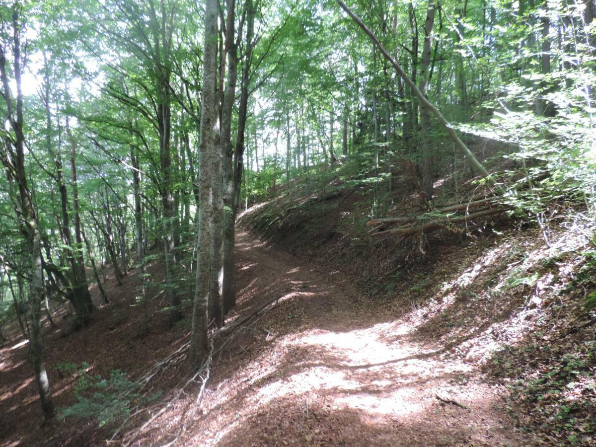 Se Reconnecter A La Nature Au Gite 3 Etoiles De Montager A Saint Andre De Chalencon Kültér fotó