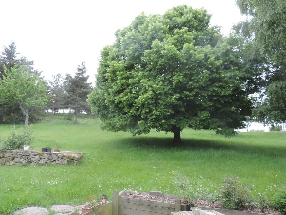 Se Reconnecter A La Nature Au Gite 3 Etoiles De Montager A Saint Andre De Chalencon Kültér fotó